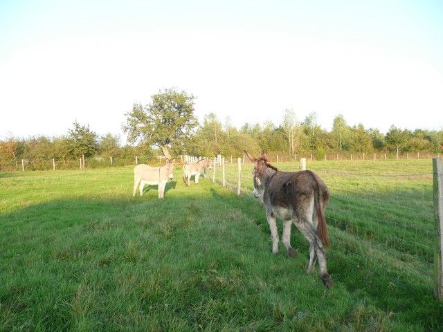 Balthazar et leonard Arrivee (23).jpg